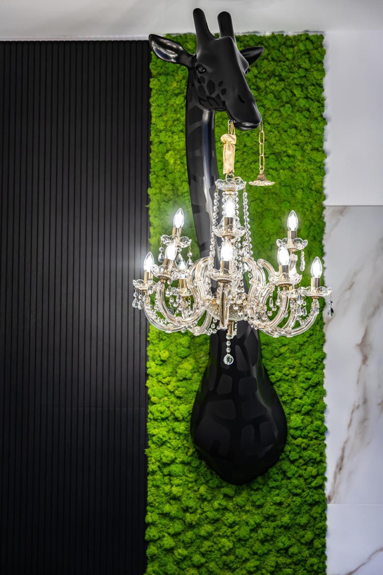 טרפאני Adamas Apartment , Rooms And Suite מראה חיצוני תמונה