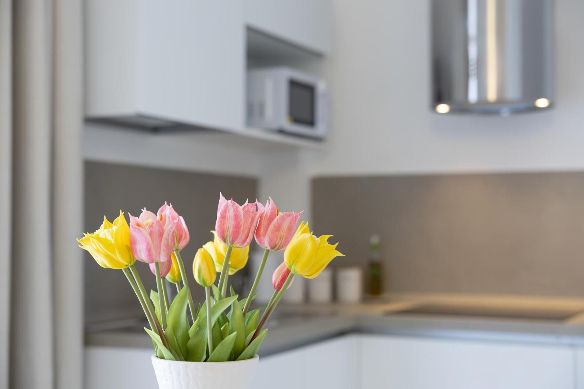 טרפאני Adamas Apartment , Rooms And Suite מראה חיצוני תמונה